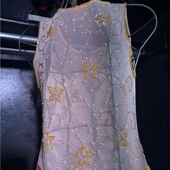 Elegant Beautiful Beaded Dress - Picture 6 of 11